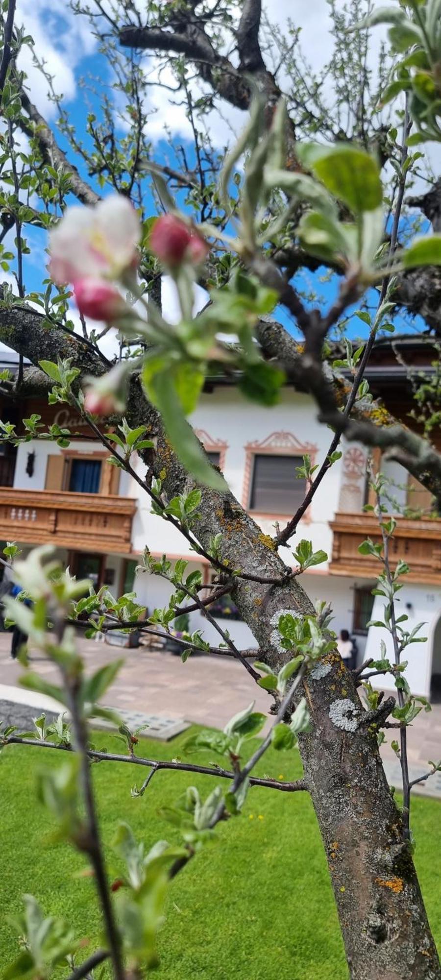 B&B Ciauceia Selva di Val Gardena Exterior photo